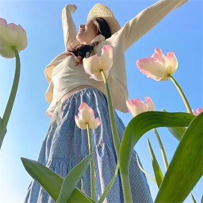 君子好逑